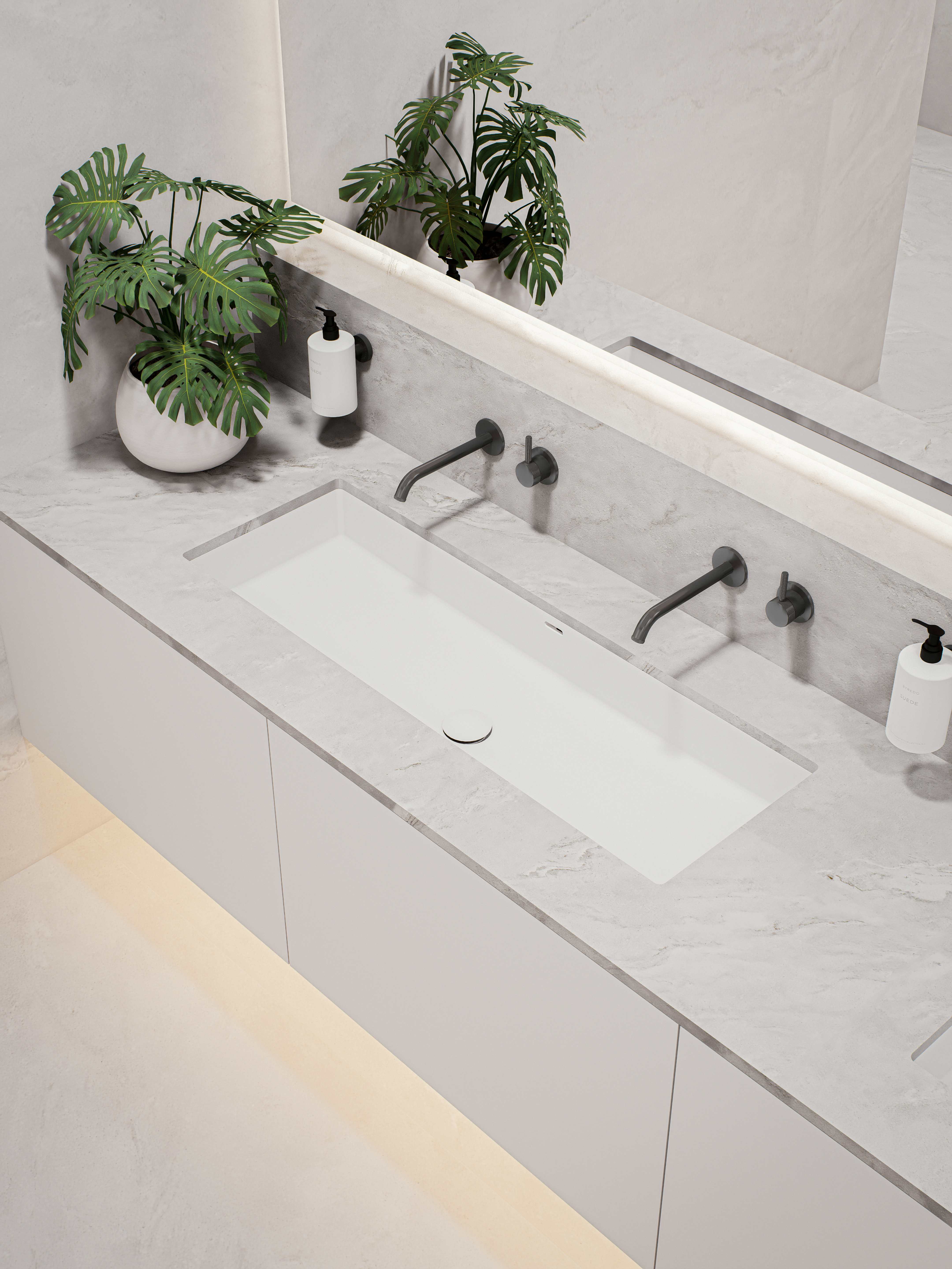 plant, sink, sink faucet, double sink